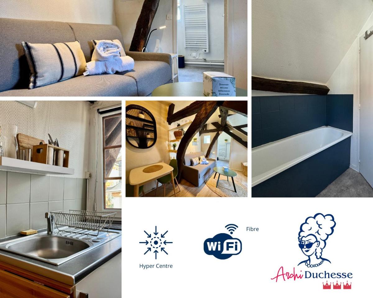 A - Vera - Ravissant Studio dans les combles