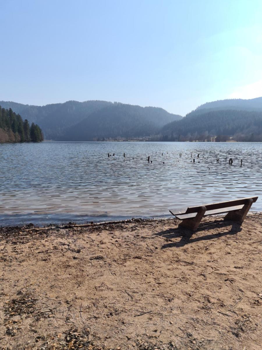 Appartement proche lac Longemer