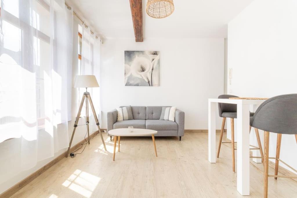 Appartement spacieux et fonctionnel - centre