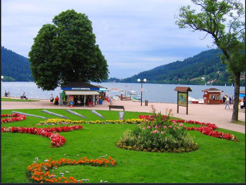 APPT 3* LE HAUT DES LACS