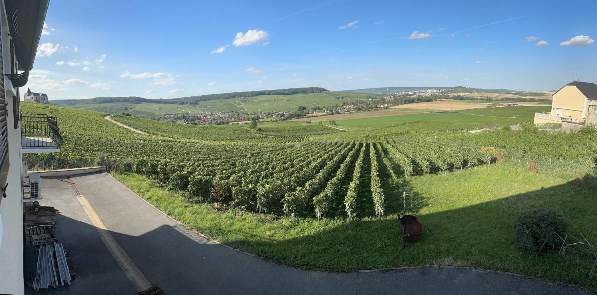 AU COEUR DU TERROIR CHAMPENOIS