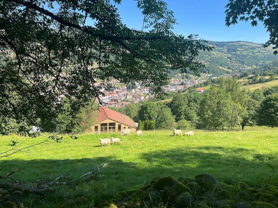 Aux Sources - 14 personnes - sauna & jacuzzi