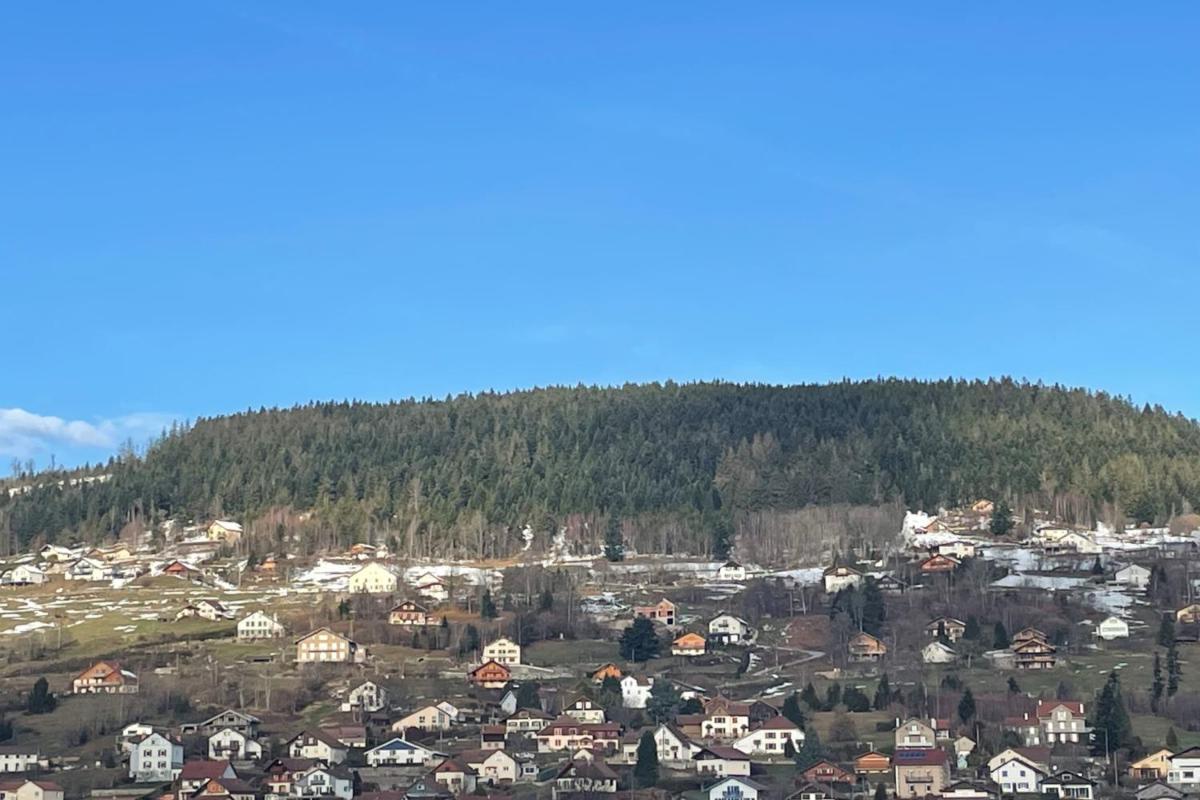 Bright nest with mountain view in Gérardmer