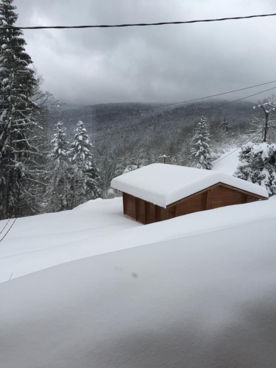 chalet "le Refuge du Brabant"