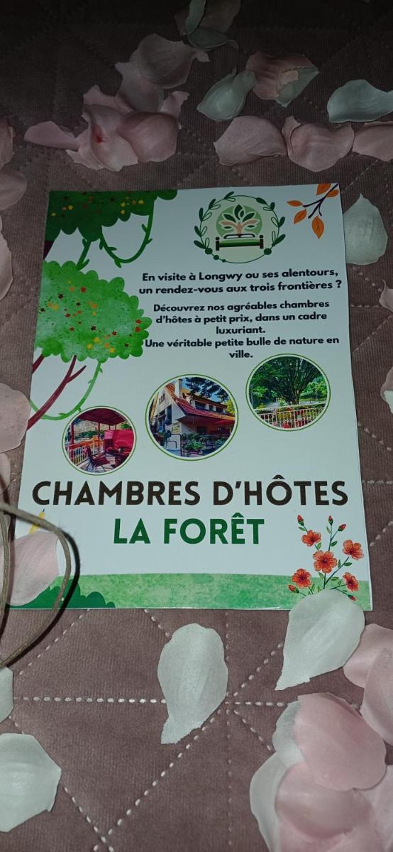 Chambres d hôtes la foret com