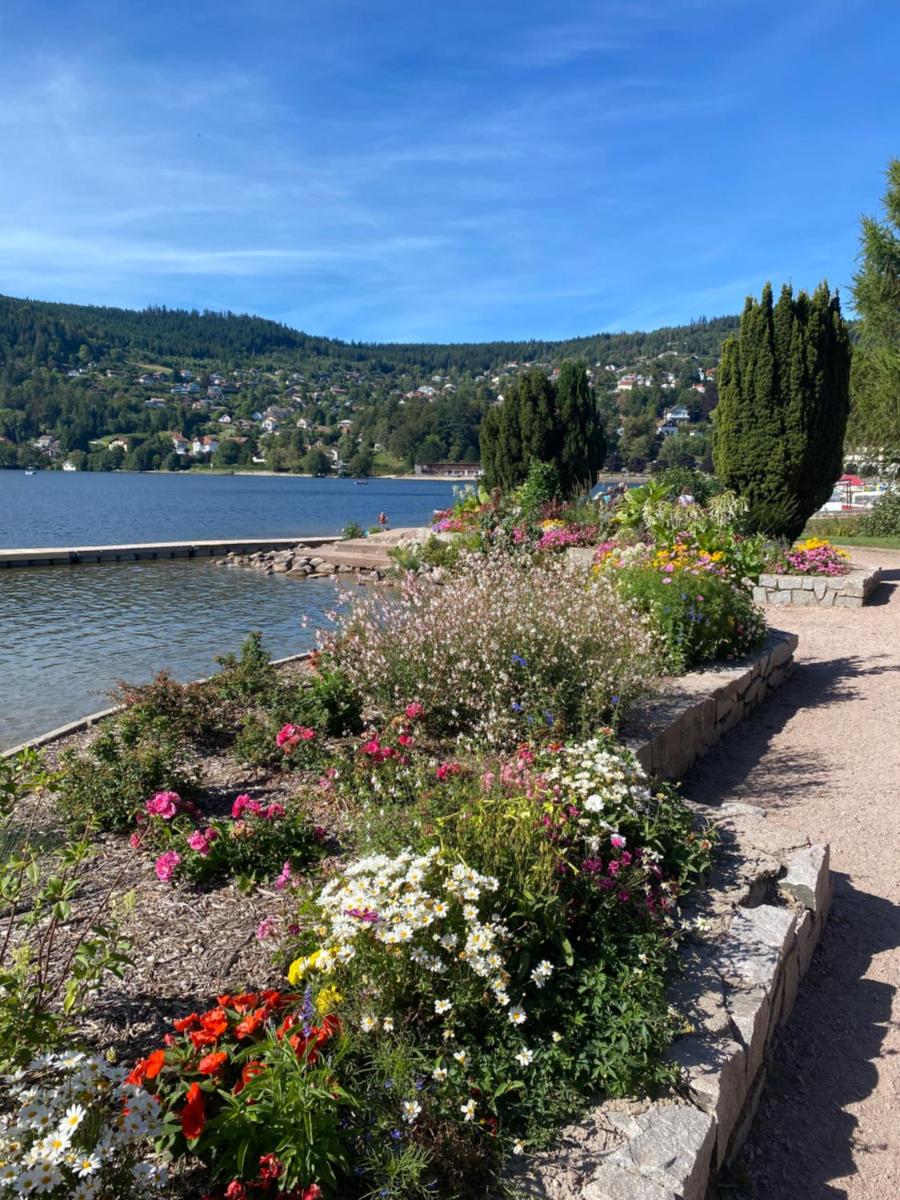 Charmant chalet, spacieux, proche du lac, vue sur la montagne