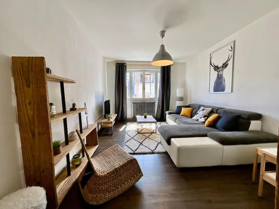 Epicea, bel appartement avec balcon au centre ville