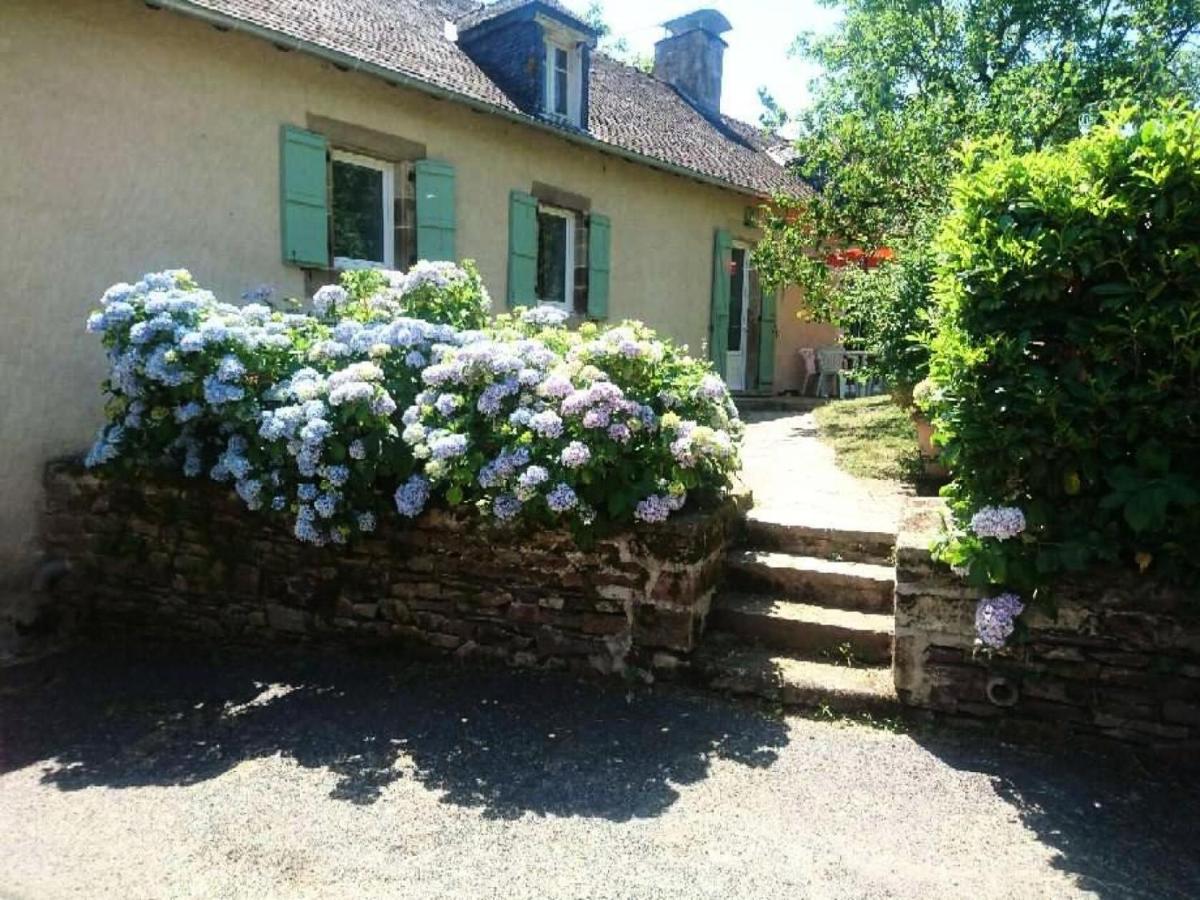 Gîte de France à Albignac 3 épis - Gîte de France 6 personnes 344