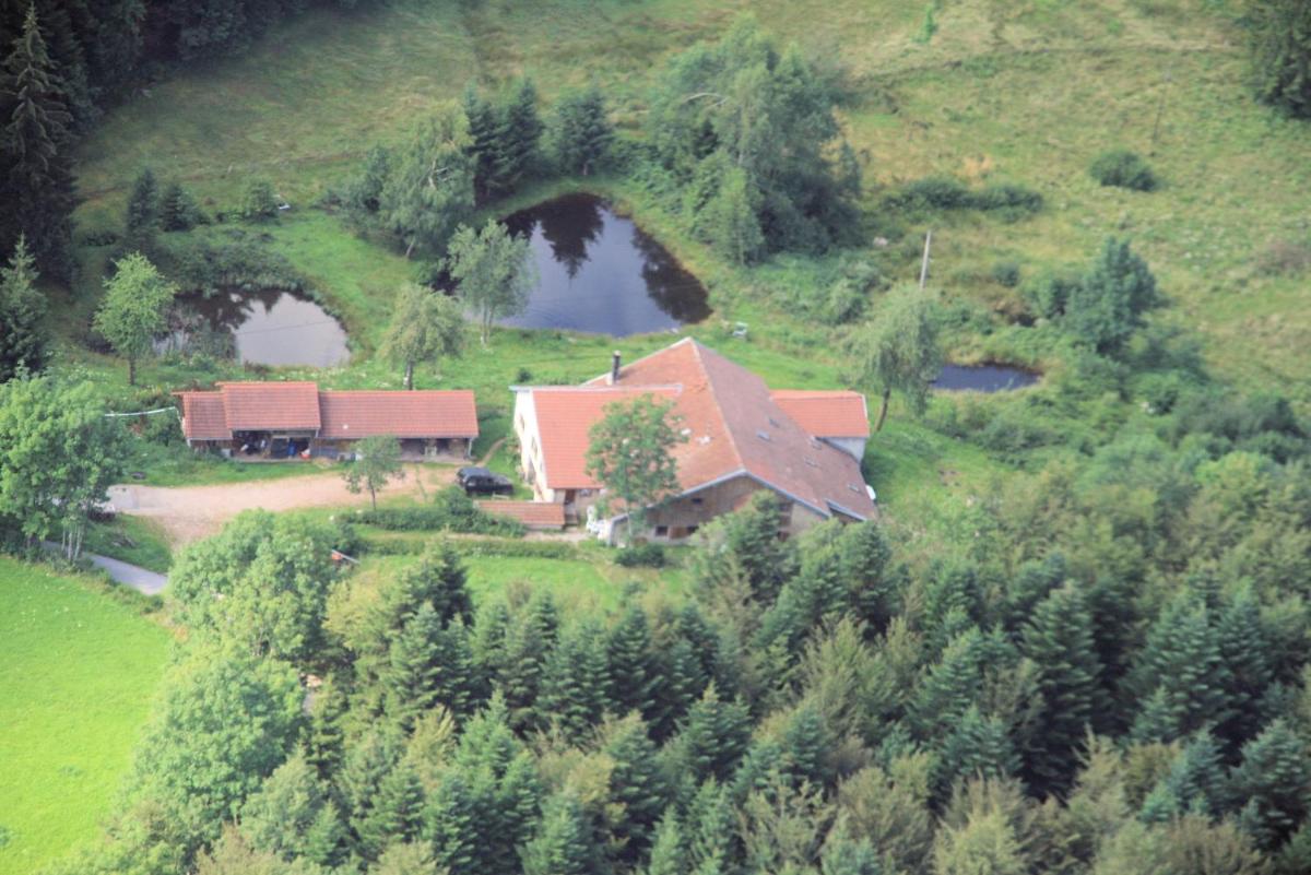Gites De La Racine