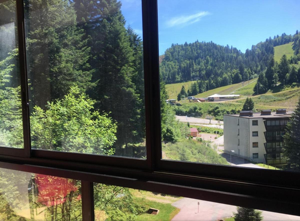 Le 215, Le Chitelet Vue Pistes