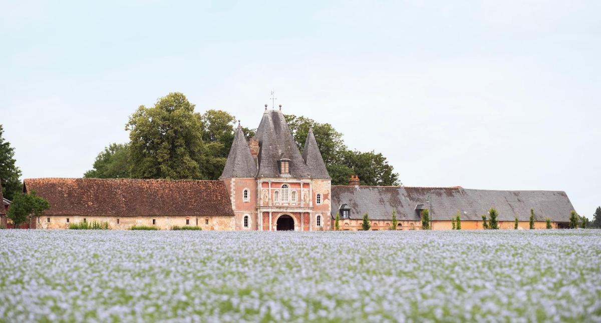 Le château de Bonnemare - Bed and breakfast