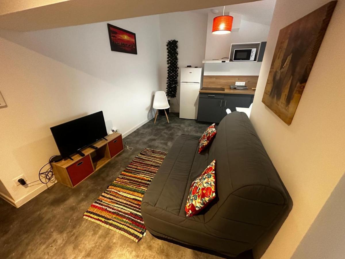 Le Cosy Safari - centre ville - wifi