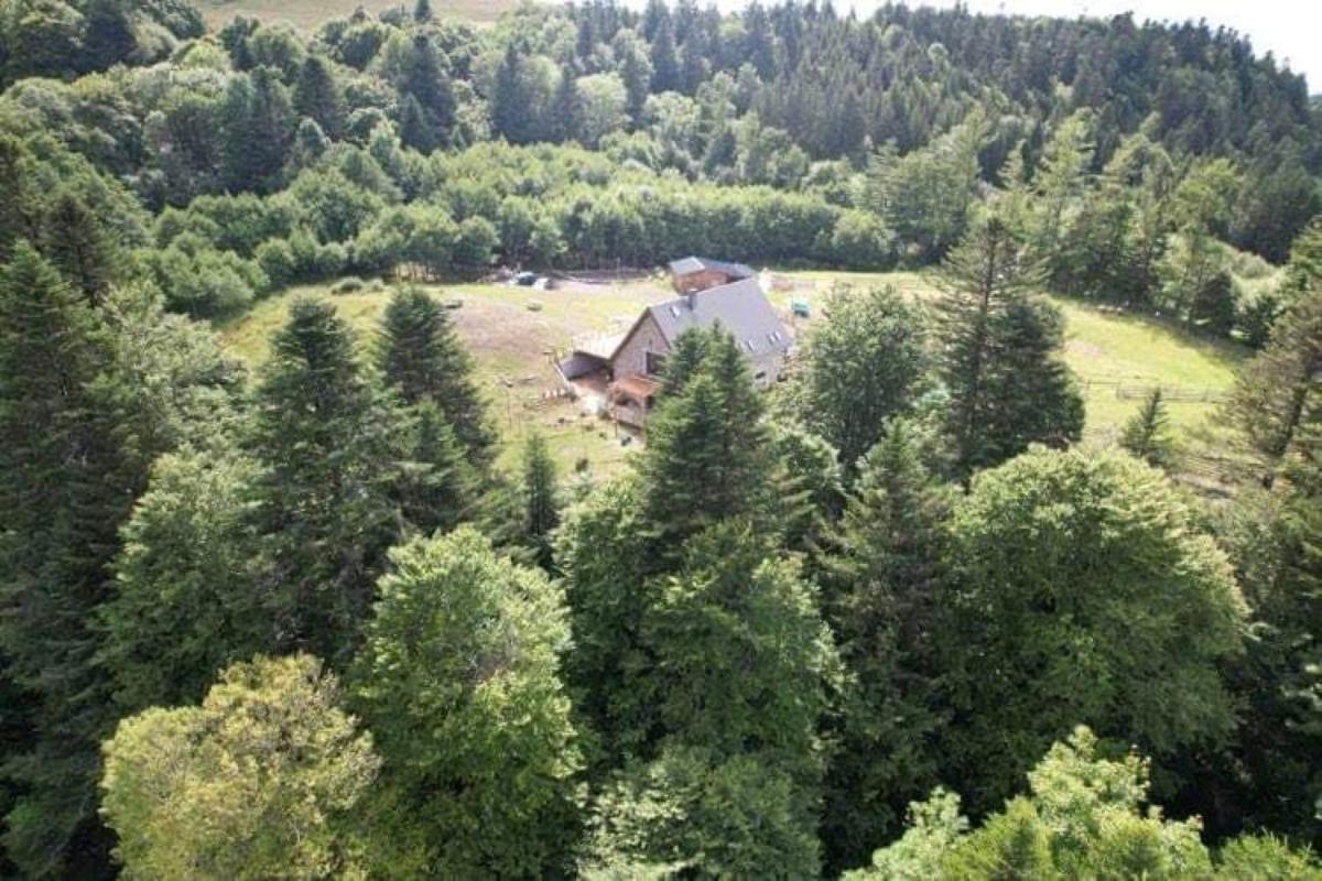 LE DOMAINE DE LA LOUVE BLANCHE