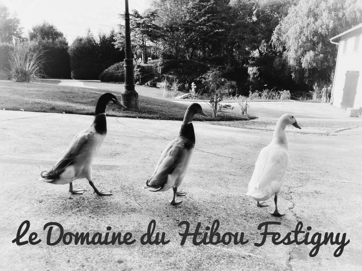 Le domaine du hibou Festigny
