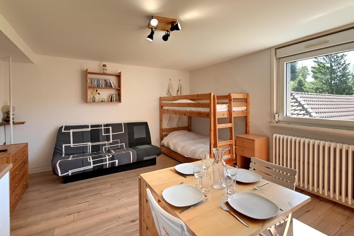 Le Nid des Vosges - Appt vue montagne