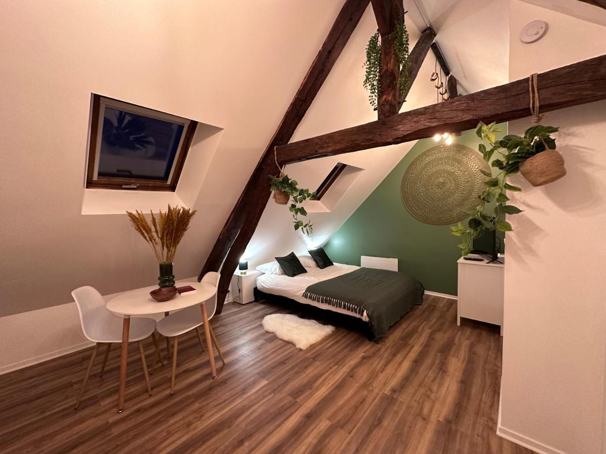 Le Nid Douillet - Hypercentre - Studio