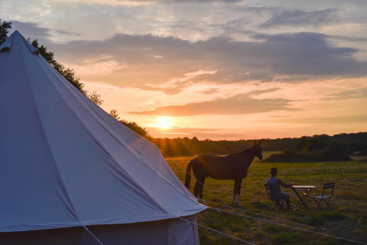 Le Tipi du Haras