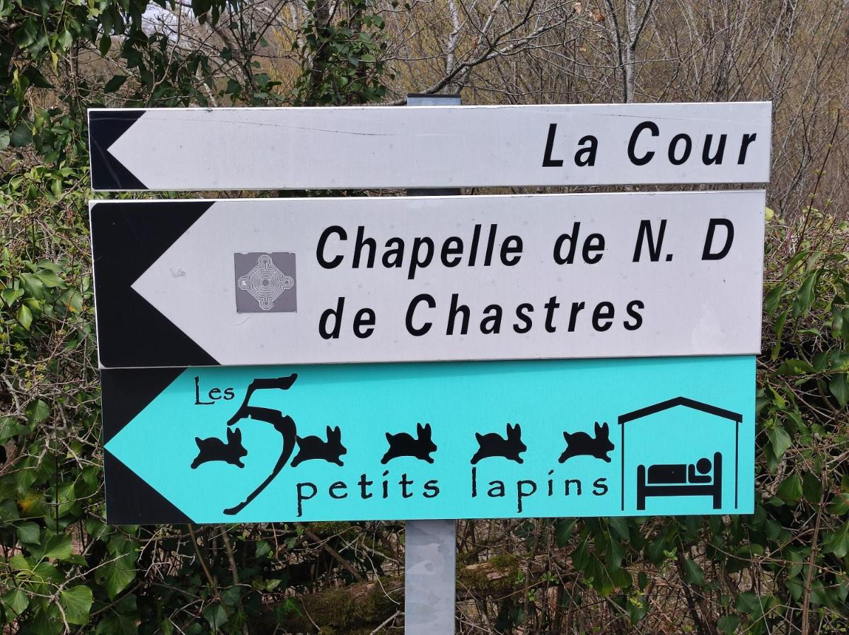 Les 5 Petits Lapins
