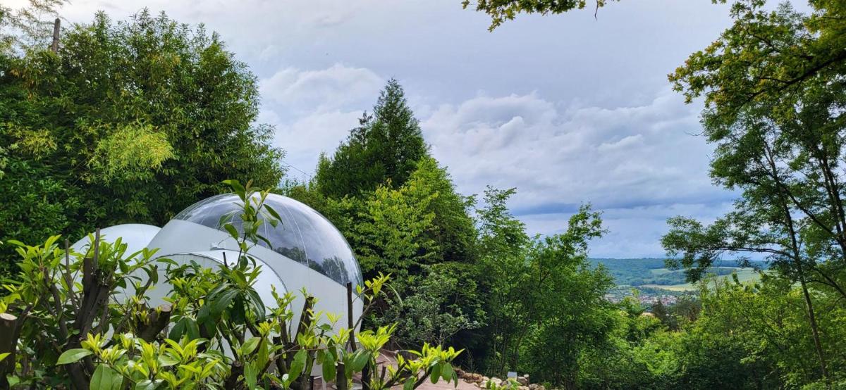 Les Bulles de Champagne