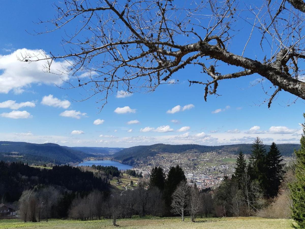 Les Gouttridos, terrasse vue lac