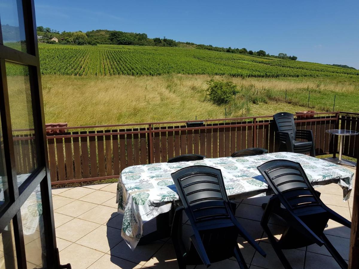 Maison au milieu des vignes