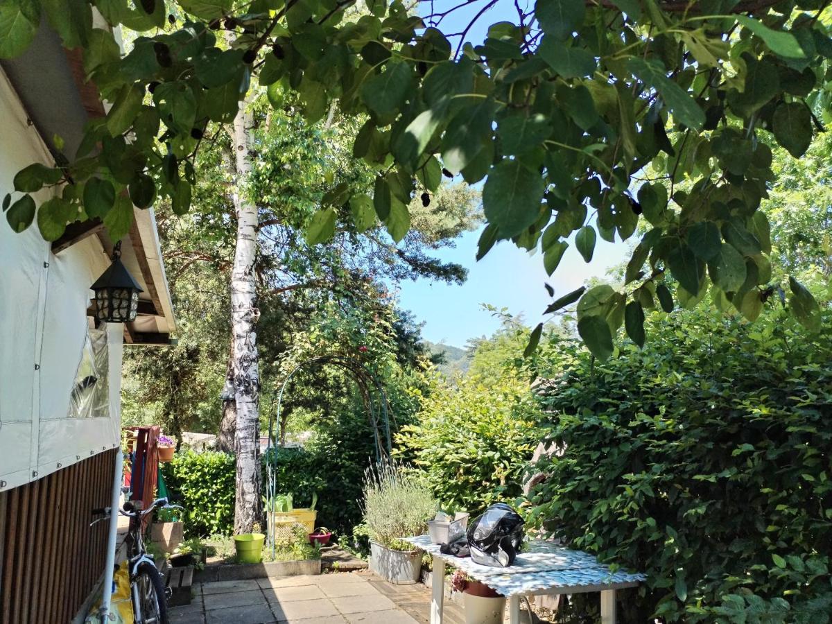 mobile home aux Rives D'Aurec