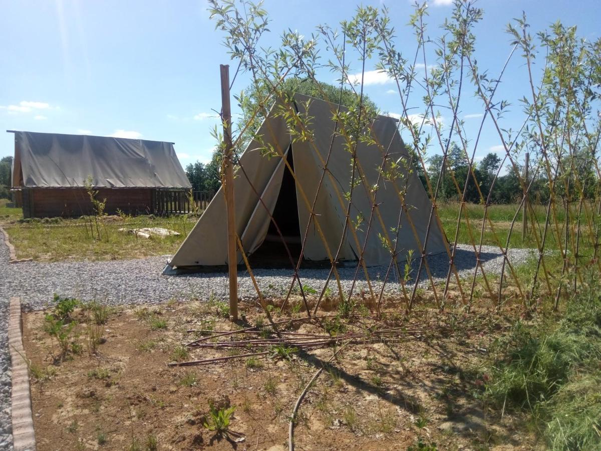 Scout 2