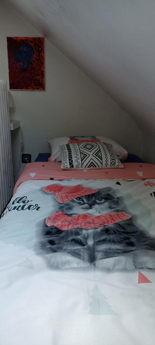 Studio cosy a Amiens avec vue sur jardin 9 m²