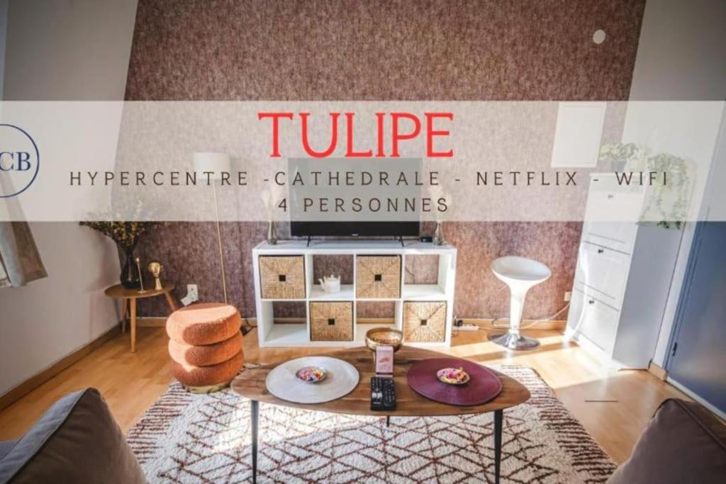 Tulipe hypercentre fantastique