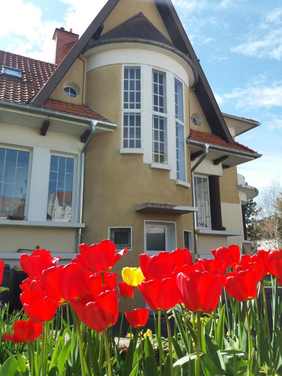 Villa Zouzou Bed and Breakfast