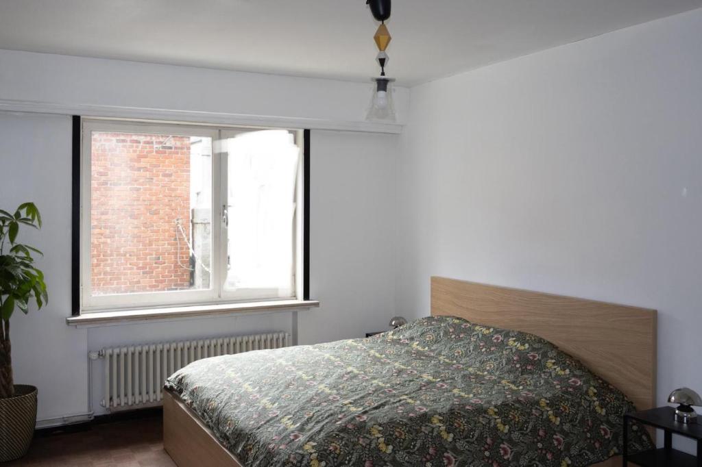 2BR & 1LR Apt Only 15 Mins to Gravensteen Castle