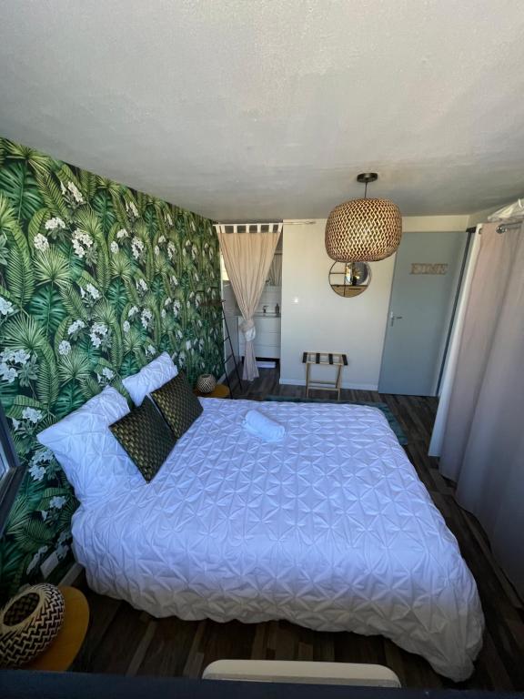 A louer appartement t2