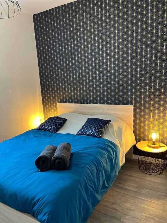 Appartement 1 chambre - Centre-ville
