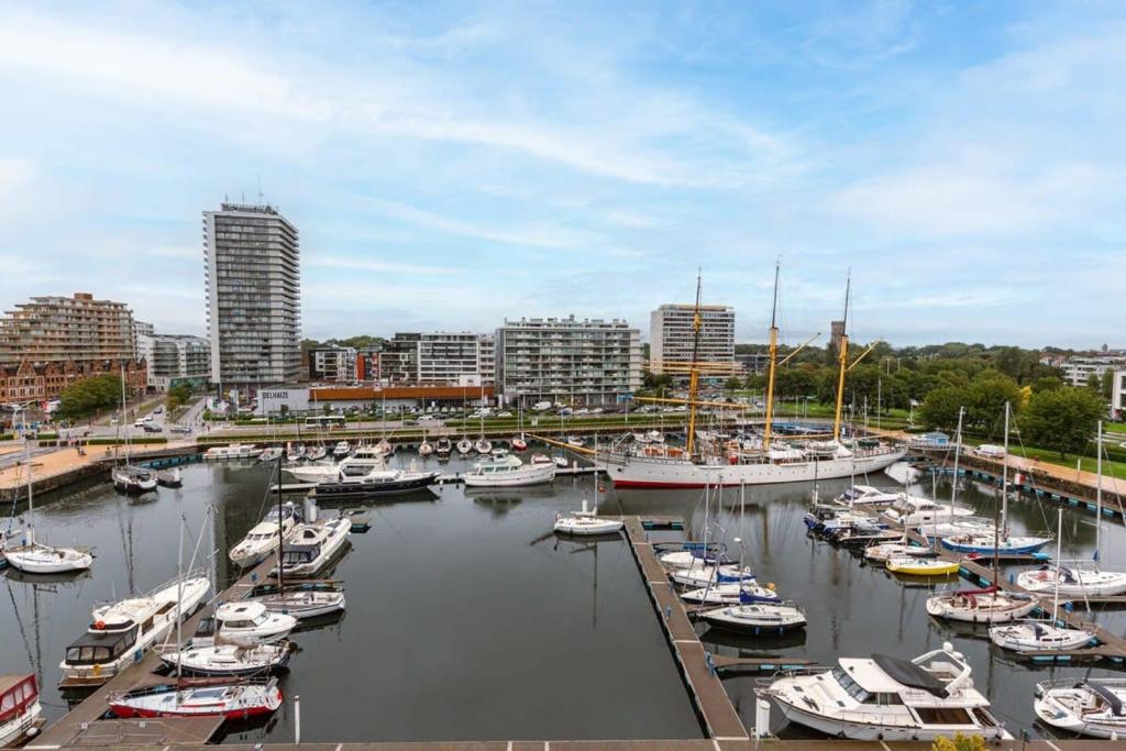 Huswell - Luminous family apartment with magnificent view