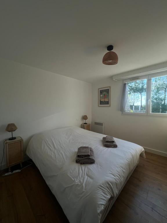 Appartement d'Exception à 20m de la Plage Votre Évasion Parfaite