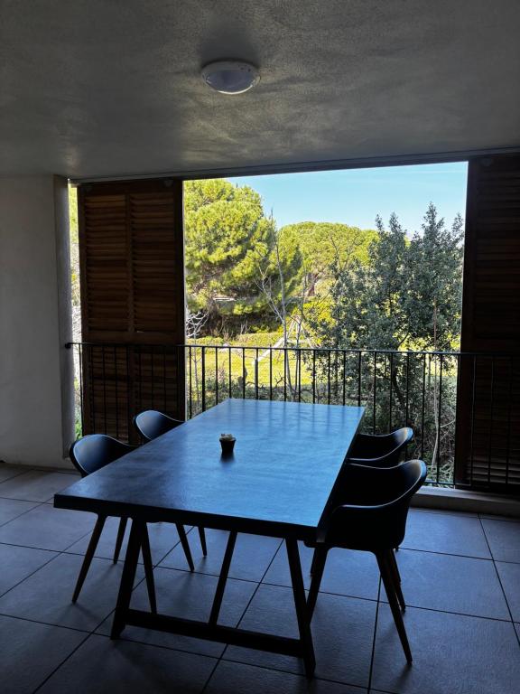 Appartement AMBRE T2 a 100 Métres de la Mer