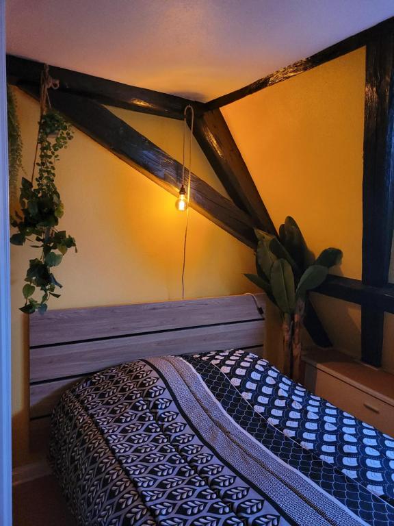 Appartement atypique perle rare