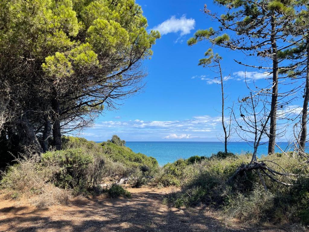 Appartement bord de mer T4 marina di bravonne N5-6