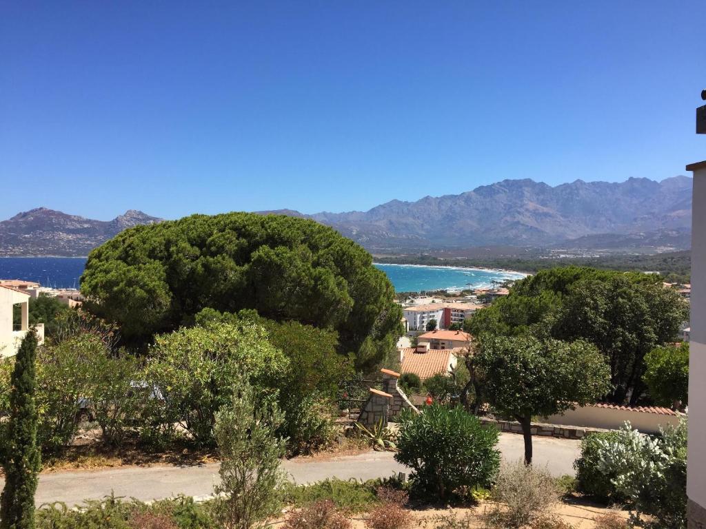 appartement Calvi