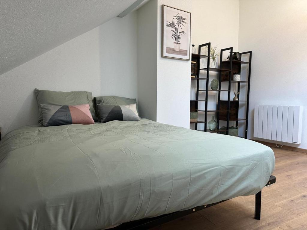 appartement centre mulhouse