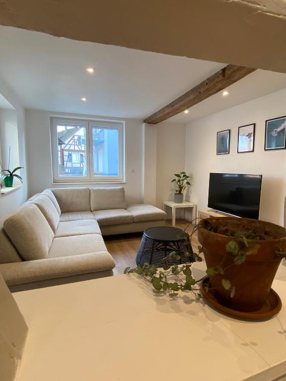 Appartement confortable