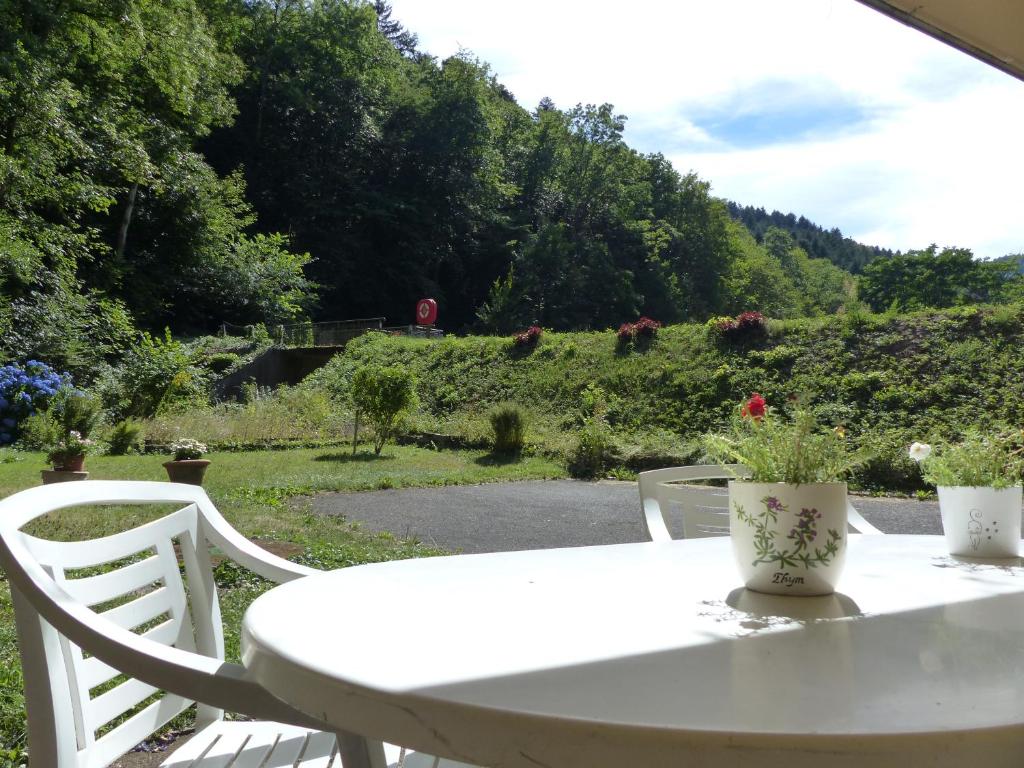 Appartement entier dans un écrin de verdure