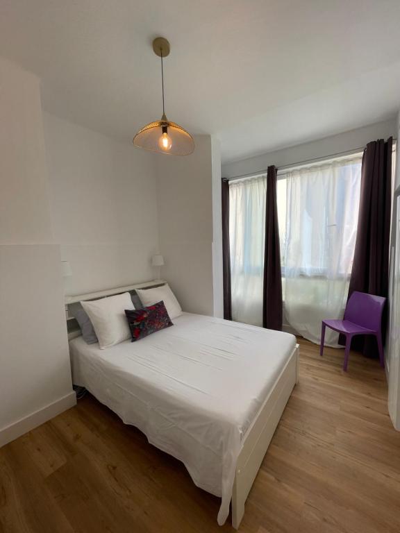 Appartement neuf, 2 chambres, climatisé, route des Sanguinaires
