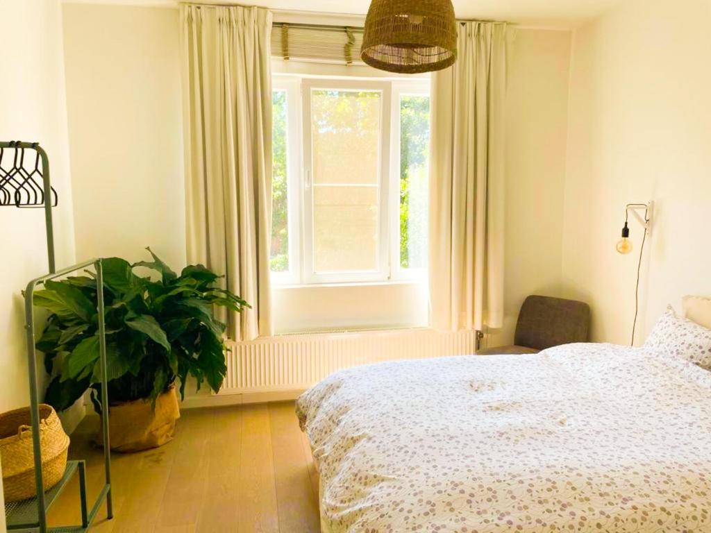 Appartement op top locatie in Antwerpen