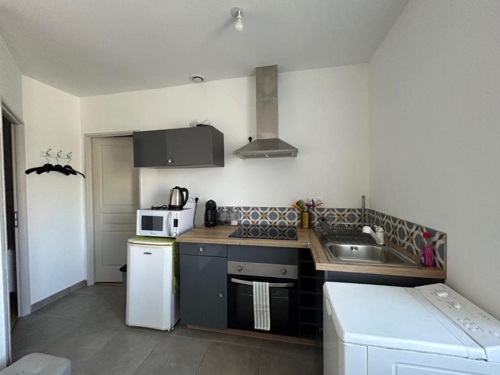 Appartement plein centre