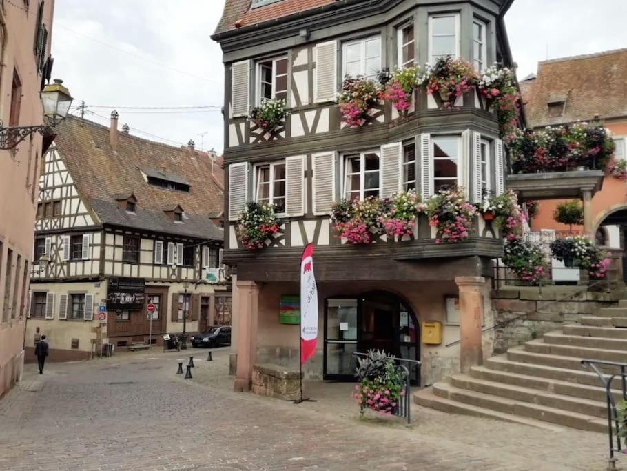 Appartement cosy - Centre de Barr - Route des Vins