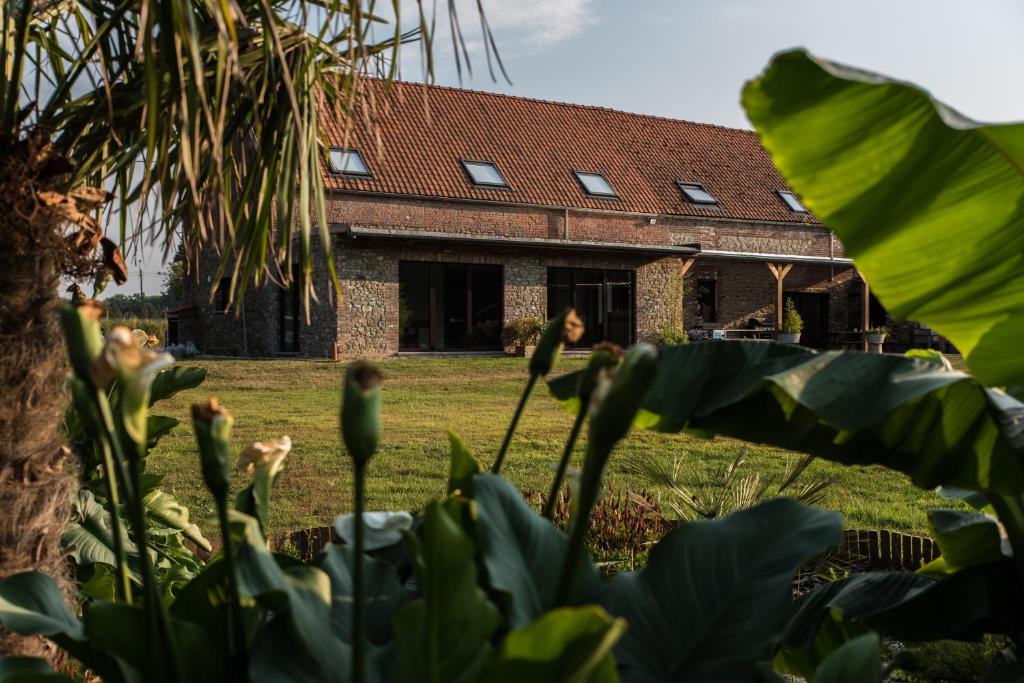 Au Petit Canteleu - Bed & Breakfast