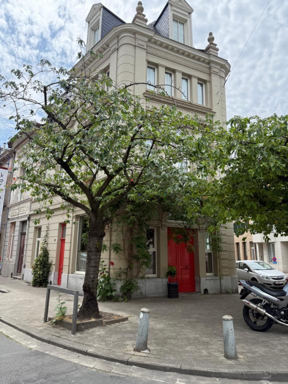 Auberge Walvis