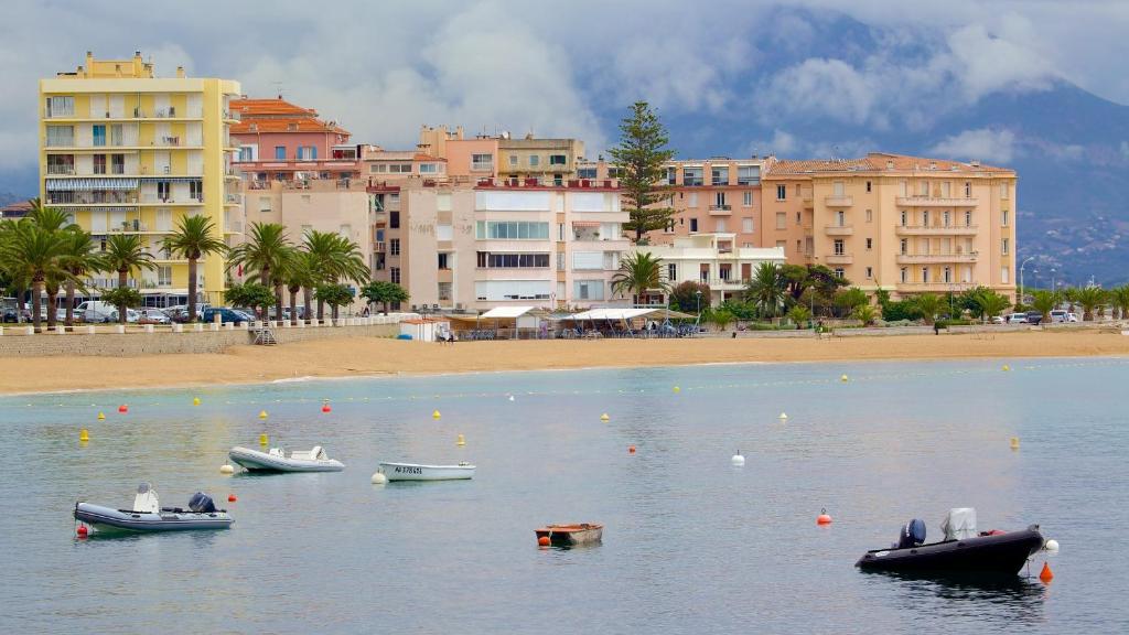 Beau studio proche centre ville et plage