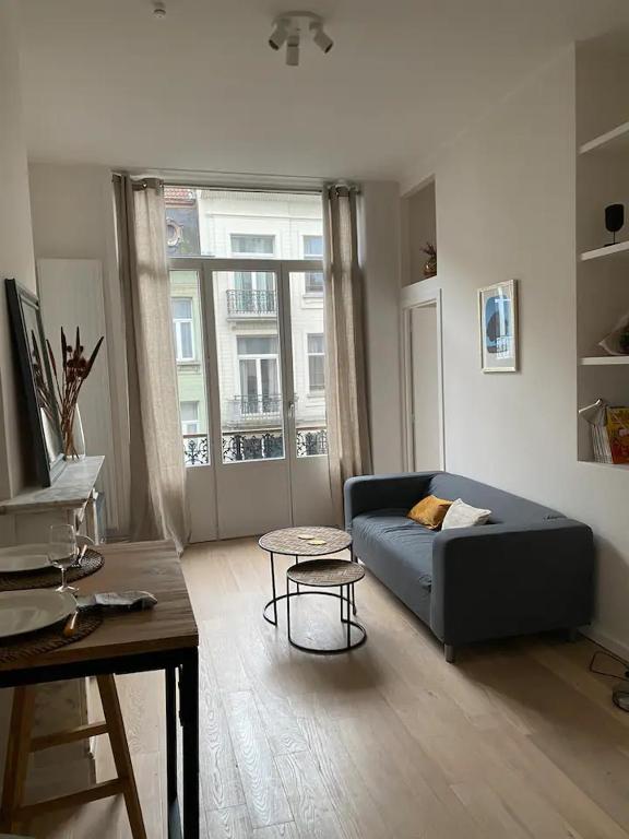 Beautiful and warm flat in heart of Brussels